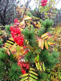 Sestupujeme kluzkou lučinou