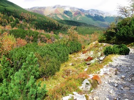 Sestupujeme nejprve stejnou cestou,