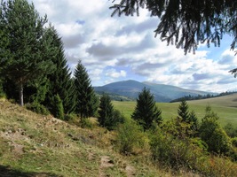 Vzduch je průzračný,