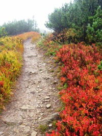 na hřeben Nízkých Tater