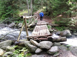 Prší, voda se řítí shora zdola