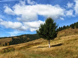 Dnes se ale asi někde opalují