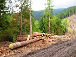 I tady, na samém západě Západních Tater