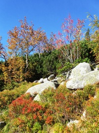 Zase ty ohnivé barvy podzimu,