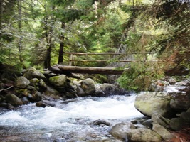 Uff, lávku jsme přešli bez úrazu!