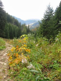 a tak jsme měli čas