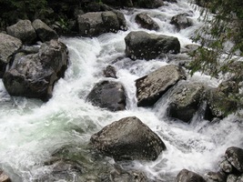 Tady u peřejí odbočujeme