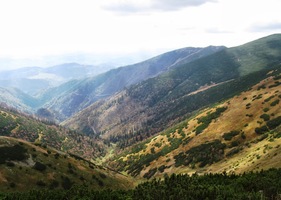 vypadalo to skoro na déšť