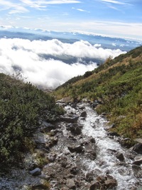 Potok ze Skalnatého plesa stéká do moře