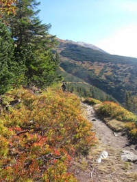 Chodník, chodníček, symbol slovenských hor