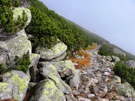 a kluzkými suťovisky