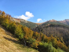 a vpravo i vlevo modrojas