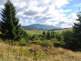 prostě ideální den pro fotografování