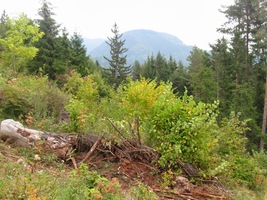 Je zataženo, ale vzduch je svěží