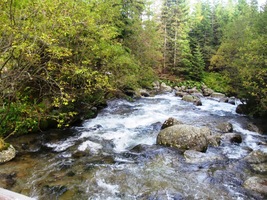 Na potok je teď lépe vidět