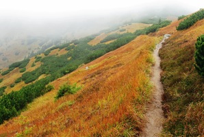 a pak zase traverzují ve svahu