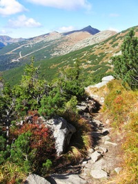 Šipka chodníku ukazuje na Chopok