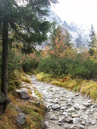 a cesta pomalu stoupala