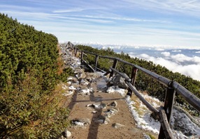 Teď už ale chutě vpřed!