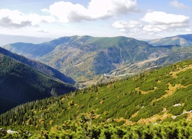 a dosud ještě zelené pod námi