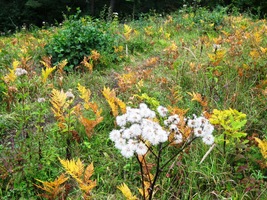 Cesty jsou rozmáčené dlouhými dešti,