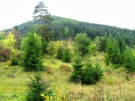 Nad námi se týčí kopec Čabrať (945 m)