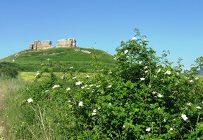 Zde je ruina tvrze v městečku Tiebas