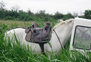 Nastupovat, jedeme domů!