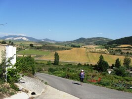 ale asfaltu přibývalo