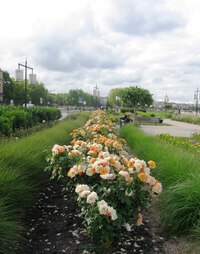 Ještě procházka po nábřežích řeky Garonne,