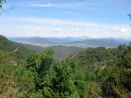 Musíme přece ještě dál a výš!