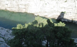 Tady jsme se shora "promítli" na plátno korun košatých stromů