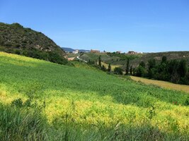a posléze zabloudil, ztratil se