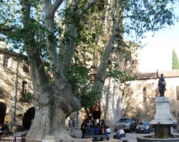 se stinným náměstíčkem