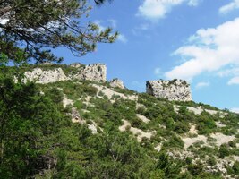 Vápenec kolem nás byl bílý jako křída