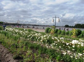 aby připlovaly až sem - 50 km od moře!