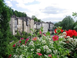 Že by proto ta květinová výzdoba?