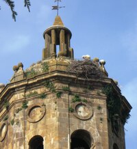 zatímco já ji tu letos končím