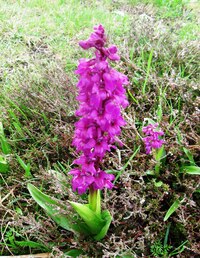 Vítej Aragonie - Espaňa est felicissima!