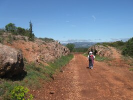 bylo by jí dost na všechny francouzské tenisové kurty