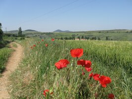 Další část etapy jdu ale letos poprvé,