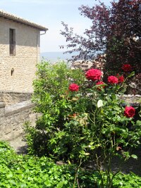 k paláci Sada - rodnému domu krále Ferdinanda Aragonského