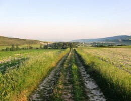 Je svěží ráno a čerstvý vzduch