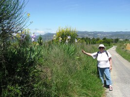 a spousta květnových květin