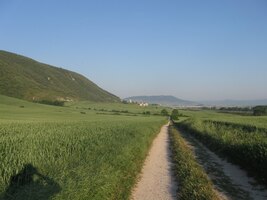 Jdu sám a mám konečně ten pravý pocit poutníka,