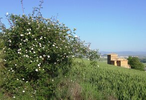 Před šesti lety jsem šel také tudy