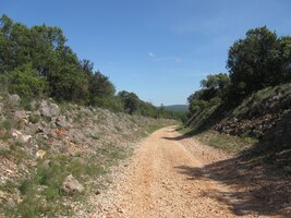 Cesta vedla zajímavým "úvozem"