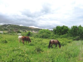 Pouť dále vedla krásnou přírodou