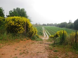 Omyl, to není déšť, ale průtrž!