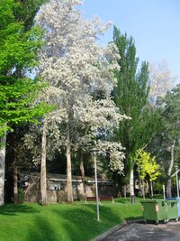 Je krásné ráno na konci května